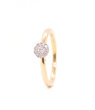 Passione Passione 14K geelgouden ring met diamant 0,13ct 53