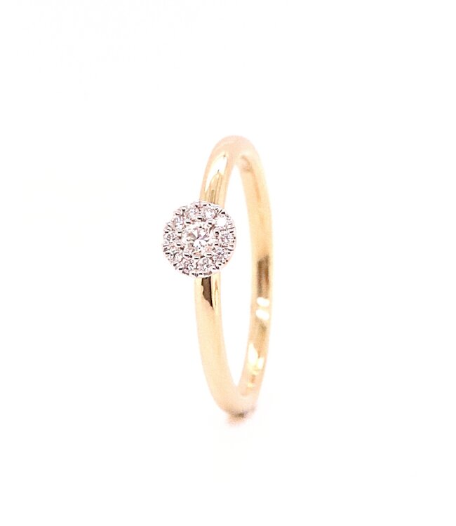 Passione 14K geelgouden ring met diamant 0,13ct 53