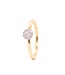 Passione Passione 14K geelgouden ring met diamant 0,13ct 53