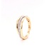 Passione Passione 14K geel- met witgouden ring met diamant 0,35ct 56
