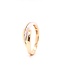 Passione Passione 14K geel- met witgouden ring met diamant 0,03ct 54