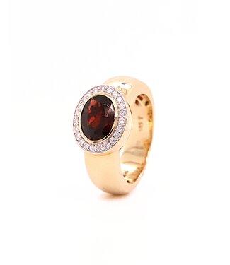 Passione Passione 14K geelgouden ring met diamant 0,16ct en granaat 55