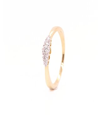 Passione Passione 14K geelgouden ring met diamant 0.21 ct maat 55