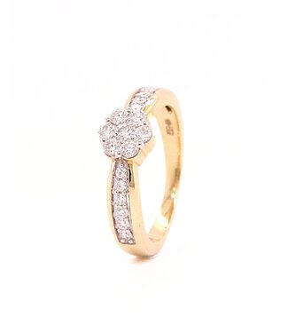 Passione Passione 14K geelgouden ring met diamant 0,60ct 55