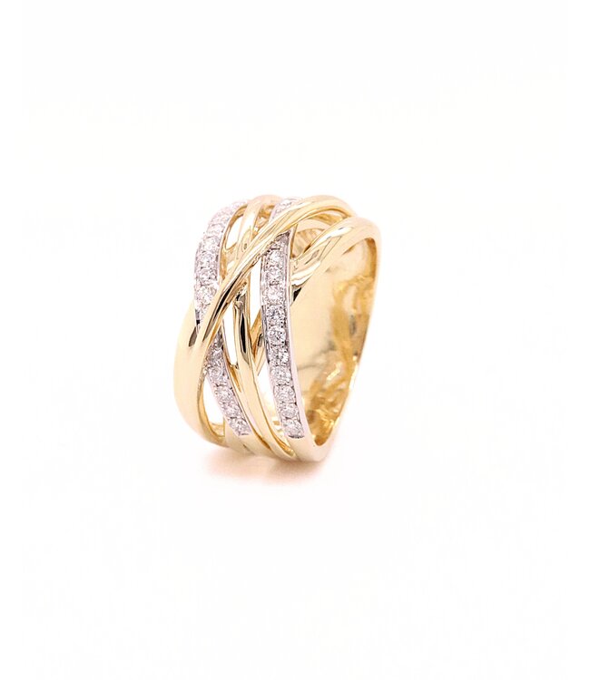 Passione  14k geelgouden ring met diamant 0.48ct 53