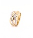 Passione Passione  14k geelgouden ring met diamant 0.48ct 53
