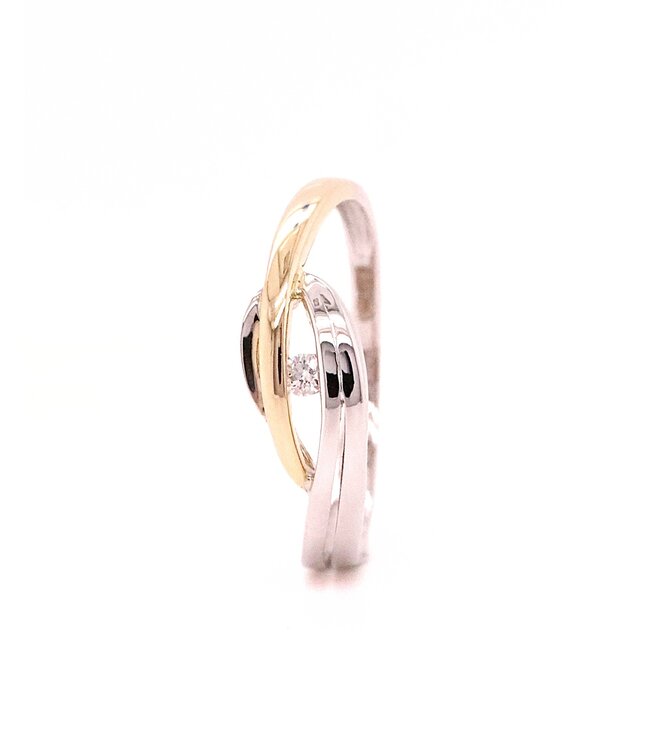 Passione 14k Wit- met geelgouden ring met diamant 0,03ct 53