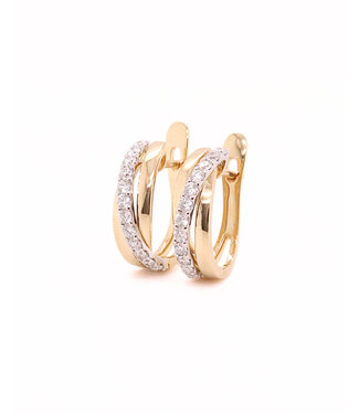 Passione Passione 14K geel- met witgouden oorringen met diamant 0,50ct