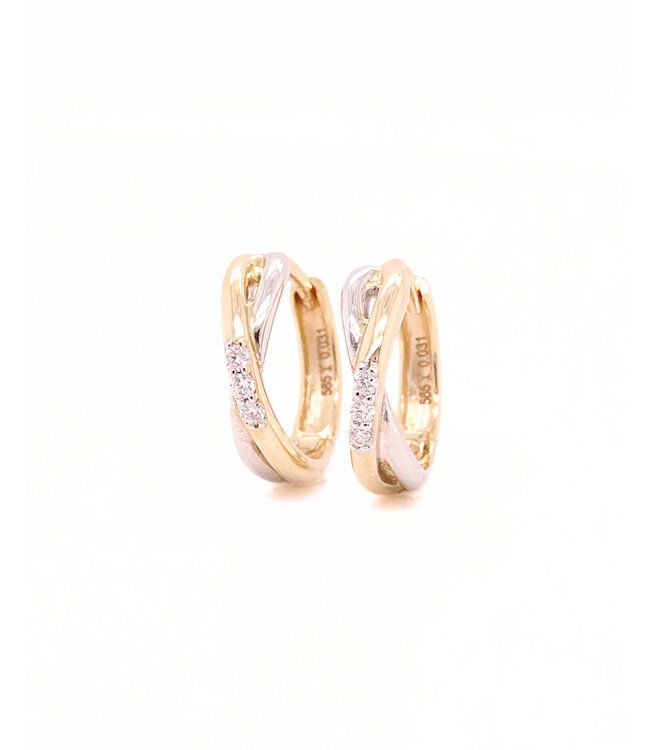 Passione 14K geel- met witgouden oorringen met diamant 0,06ct