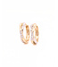 Passione Passione 14K geel- met witgouden oorringen met diamant 0,06ct