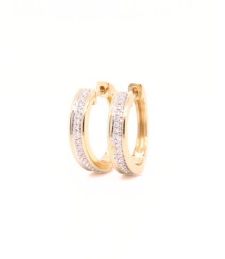 Passione Passione 14k geelgouden oorringen met diamant 0,14ct