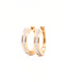 Passione Passione 14k geelgouden oorringen met diamant 0,14ct