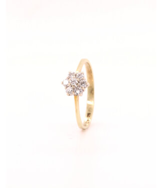 ROEMER ROEMER 14k geelgouden entourage ring met diamant 0.20ct Wsi