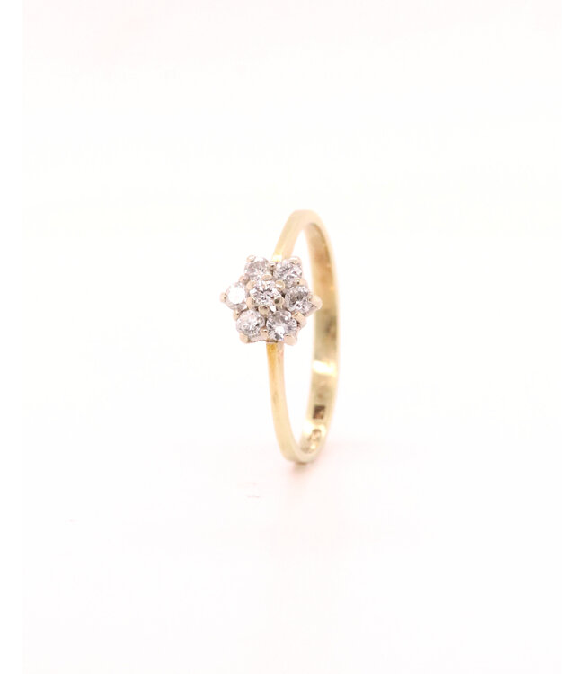 ROEMER 14k geelgouden entourage ring met diamant 0.20ct Wsi