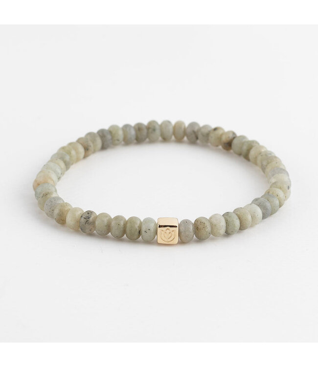 Y&G armband heren Labradoriet met 14k goud 8004M-Y