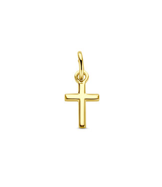 ROEMER ROEMER hanger 14k geelgoud kruis 14 mm