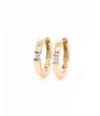 Passione Passione oorringen geel/witgoud 14k met 0.06ct. diamant