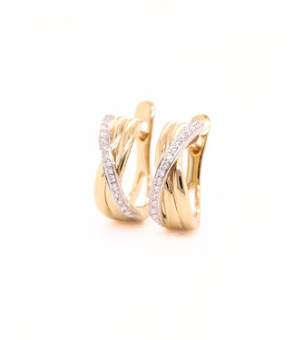 Passione Passione oorringen geel/witgoud 14k met 0.09ct diamant