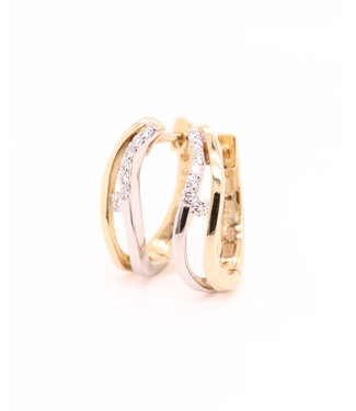 Passione Passione oorringen geel/witgoud 14k met 0.13ct. diamant