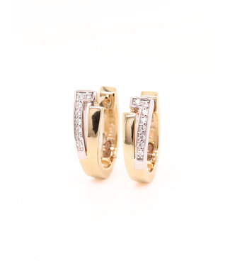 Passione Passione oorringen geel/witgoud 14k met 0.07ct diamant