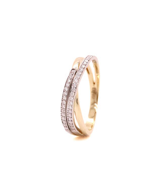 Passione Passione ring geel/witgoud 14k met 0.20ctG/Si maat 56