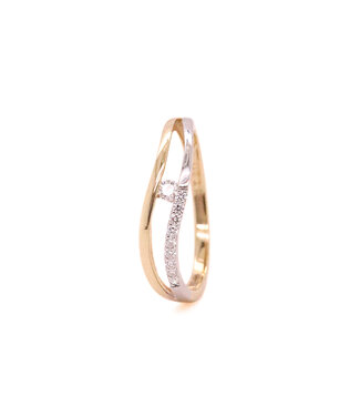 Passione Passione ring geel/witgoud 14k met 0.13ct G/Si maat 55