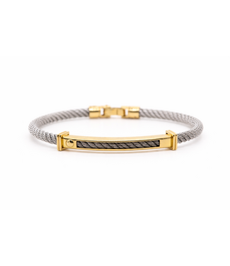 ROEMER ROEMER herenarmband 18K geelgoud met staal 19.5