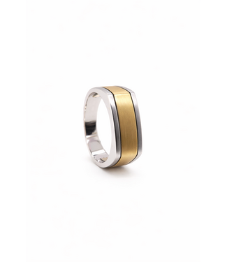 ROEMER Roemer Zegelring 14k bicolor goud maat 63