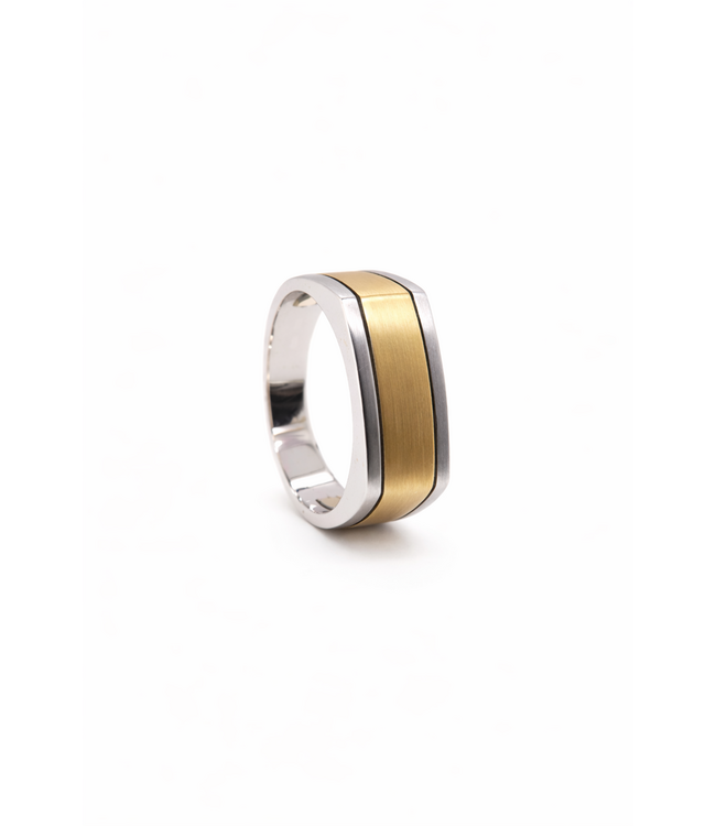 Roemer Zegelring 14k bicolor goud maat 63