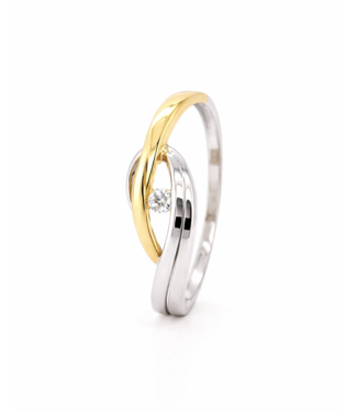 Passione Passione 14k Wit- met geelgouden ring met diamant 0,03ct 53