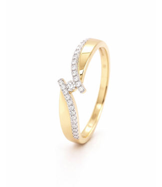 Passione Passione ring goud 14k met diamant 0.14ct maat 53