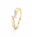 Passione Passione ring goud 14k met diamant 0.14ct maat 53