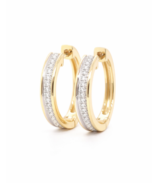 Passione Passione 14k geelgouden oorringen met diamant 0,14ct