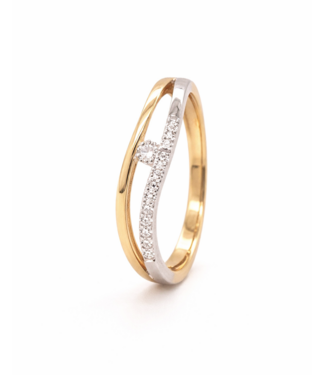 Passione Passione ring geel/witgoud 14k met 0.13ct G/Si maat 55
