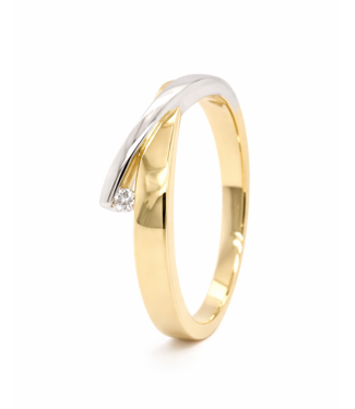 Passione Passione ring geel/witgoud 14k met 0.03ct G/Si maat 58