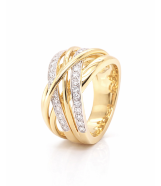 Passione Passione  14k geelgouden ring met diamant 0.48ct 53