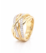 Passione  14k geelgouden ring met diamant 0.48ct 53