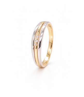 Passione Passinone ring geel/witgoud 14k met 0.03ct G/Si maat 58