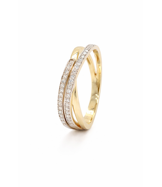 Passione Passione ring geel/witgoud 14k met 0.20ctG/Si maat 56