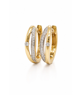 Passione Passione oorringen goud 14k met 0.11ct diamant