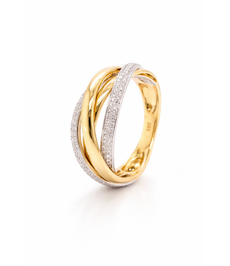 Passione Passione 14K geel- met witgouden ring met diamant 0,36ct 55