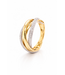 Passione Passione 14K geel- met witgouden ring met diamant 0,36ct 55