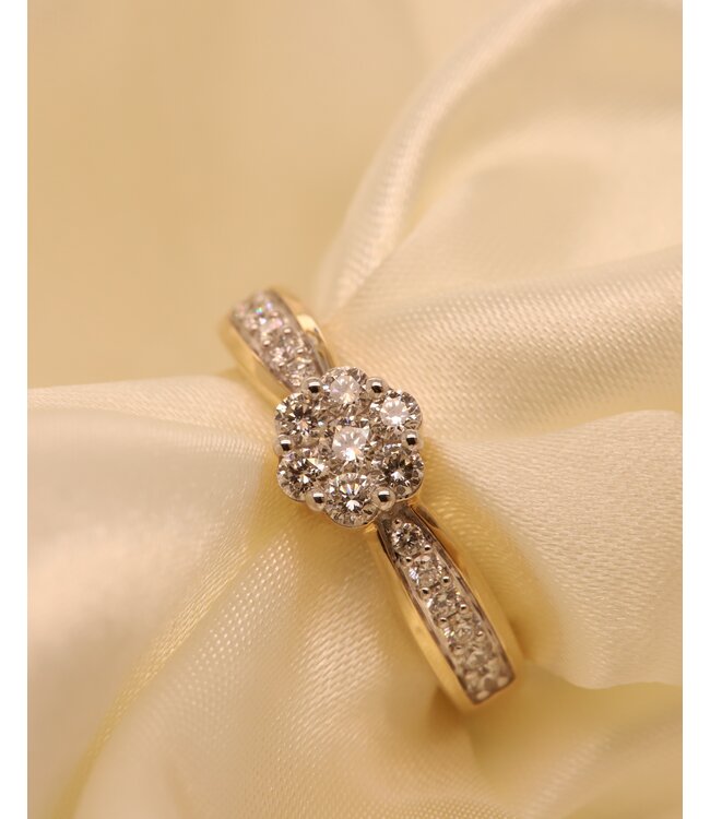 Passione 14K geelgouden ring met diamant 0,60ct 55