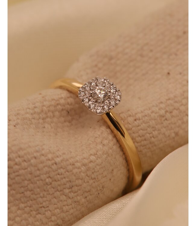 Passione 14K geelgouden ring met diamant 0,14ct 53