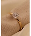 Passione 14K geelgouden ring met diamant 0,14ct 53