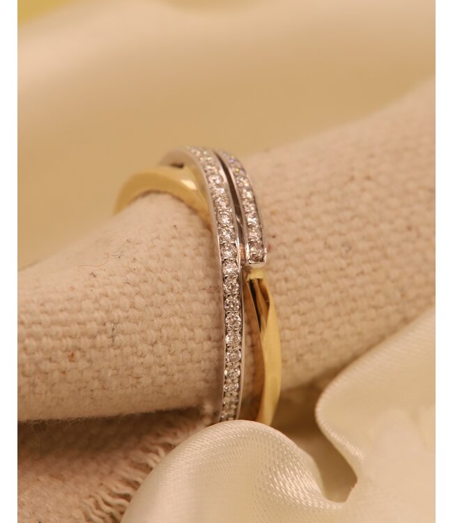 Passione ring geel/witgoud 14k met 0.20ctG/Si maat 56