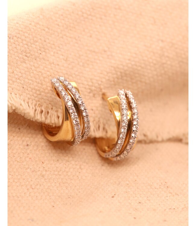 Passione 14K geel- met witgouden oorringen met diamant 0,57ct