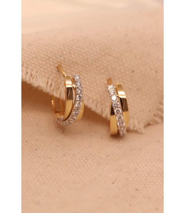 Passione 14K geel- met witgouden oorringen met diamant 0,50ct
