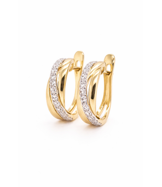 Passione Passione 14K geel- met witgouden oorringen met diamant 0,50ct