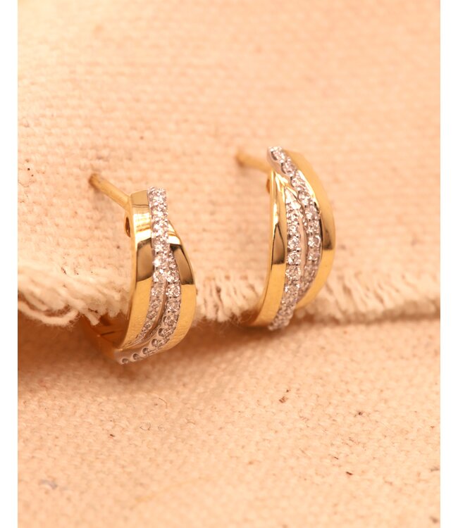 Passione oorringen geel/witgoud 14k met 0.23ct diamant